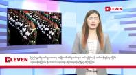 Embedded thumbnail for ■ သြဂုတ် ၁၃ ရက် နံနက်ခင်းသတင်းအစီအစဉ်  