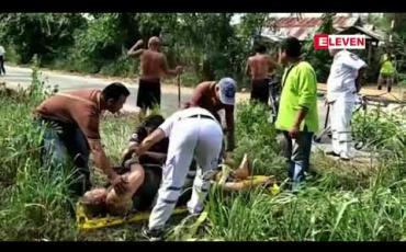 Embedded thumbnail for ပတ္တယားတွင် ဂျာမနီနိုင်ငံသားတစ်ဦးစက်ဘီးစီးလာရင်းဆင်နှင့်ပက်ပင်းတိုးပြီးတိုက်ခိုက်ခံရ 