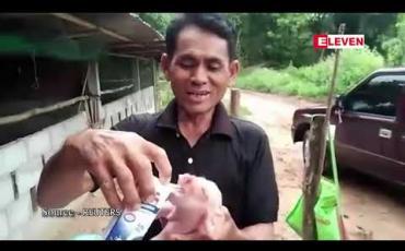 Embedded thumbnail for ထိုင်းနိုင်ငံရှိ ကျေးလက်ဒေသတစ်ခုတွင် ဆင်နားရွက်နှင့်နှာမောင်းပုံသဏ္ဍာန်ပါကာ မွေးဖွားလာသည့် ဝက်ပေါက်လေးတစ်ကောင်က ဒေသခံများ၏ အချစ်တော် ဖြစ်နေ 