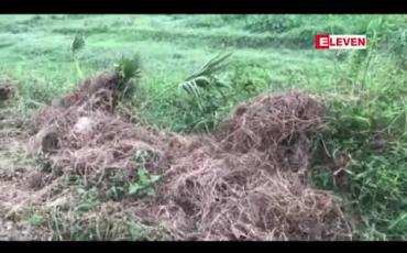 Embedded thumbnail for တောင်ဥက္ကလာပမြို့နယ် ပါရမီဘူတာနှင့် ကန်ဘဲ့ဘူတာကြား ရထားသံလမ်းဘေးတွင် ပုပ်ပွသေဆုံးနေသော မိန်းကလေးငယ်အလောင်း တွေ့ရှိ 
