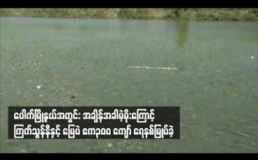 Embedded thumbnail for ပေါက်မြို့နယ်အတွင်း အချိန်အခါမဟုတ် မိုးရွာသွန်းမှုကြောင့် ကြက်သွန်နီနှင့်မြေပဲ ဧက ၃၀၀ ကျော် ရေနစ်မြုပ်