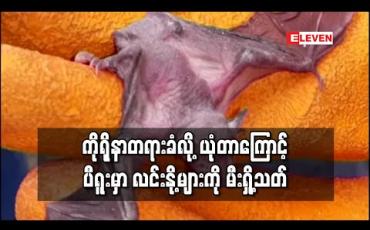 Embedded thumbnail for ကိုရိုနာဗိုင်းရပ်စ်လက်သည်တရားခံဟု ယုံကြည်မှုကြောင့် ပီရူးမြောက်ပိုင်းရှိ ကျေးရွာများတွင် လင်းနို့များကို မီးရှို ့သတ်ဖြတ် 