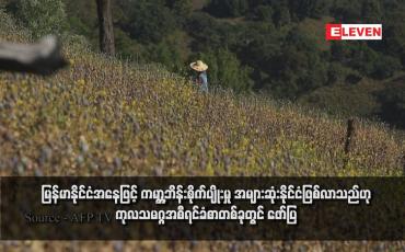 Embedded thumbnail for မြန်မာနိုင်ငံအနေဖြင့် ကမ္ဘာ့ဘိန်းစိုက်ပျိုးမှု အများဆုံးနိုင်ငံဖြစ်လာသည်ဟု ကုလသမဂ္ဂအစီရင်ခံစာတစ်ခုတွင် ဖော်ပြ