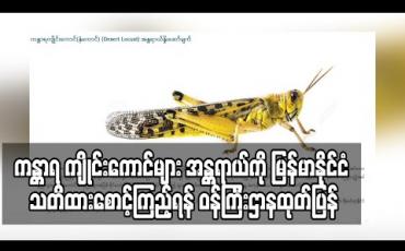 Embedded thumbnail for ကန္တာရ ကျိုင်းကောင်များ ဖြတ်သန်းဝင်ရောက်လာနိုင်မည့် အန္တရာယ်ကို မြန်မာနိုင်ငံ အနောက်ဘက်ခြမ်းရှိ ဒေသများ သတိထားစောင့်ကြည့်ရန် ဝန်ကြီးဌာနထုတ်ပြန် (ရုပ်သံ) 