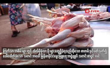 Embedded thumbnail for ကြက်သားအစိမ်းများတွင် ဆဲလ်မိုနဲလားပိုးများတွေ့ရှိခဲ့ရသည်ဆိုသော စာတမ်းနှင့်ပတ်သက်ပြီး ပေါ်ပေါက်ခဲ့သောသတင်းအပေါ် မြန်မာနိုင်ငံမွေးမြူရေးအဖွဲ့ချုပ်သတင်းစာရှင်းလင်း (ရုပ်သံ) 