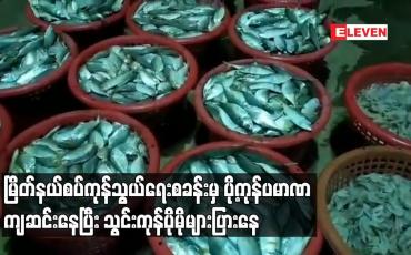 Embedded thumbnail for မြိတ် နယ်စပ်ကုန်သွယ်ရေးစခန်းမှ ပို့ကုန်ပမာဏ ကျဆင်းနေပြီး သွင်းကုန် ပိုမိုများပြားနေ