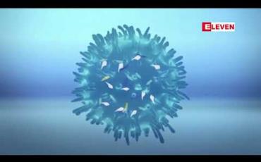 Embedded thumbnail for  မိုက်ခရိုပလတ်စတစ်မှုန်များက ကိုယ်ခံအားဆဲလ်များကို သေဆုံးနှုန်းမြန်ဆန်စေကြောင်းလေ့လာချက်တစ်ခုတွင်တွေ ့ရှိ