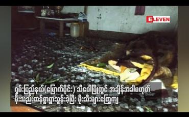Embedded thumbnail for  သီပေါမြို့တွင် အချိန်အခါမဟုတ်မိုးသည်းထန်စွာရွာသွန်းခဲ့ပြီး မိုးသီးများကြွေကျ  
