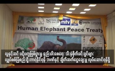 Embedded thumbnail for လူနှင့်ဆင် ပဋိပက္ခဖြစ်ပွားမှု နည်းပါးစေရေး သီးနှံစိုက်ခင်းရှင်များ လျှပ်စစ်ခြံစည်းရိုးကာရံနိုင်ရန် ဘဏ်နှင့်ချိတ်ဆက်ငွေချေးမှု လုပ်ဆောင်ရန်ရှိ 