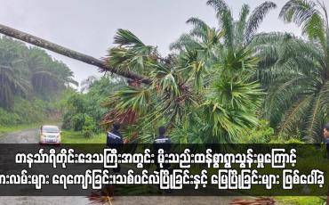 Embedded thumbnail for တနင်္သာရီတိုင်းဒေသကြီးအတွင်း မိုးသည်းထန်စွာရွာသွန်းမှုကြောင့် ကားလမ်း ရေကျော်ခြင်း၊သစ်ပင်လဲပြိုခြင်းနှင့် မြေပြိုခြင်းများ ဖြစ်ပေါ်ခဲ့