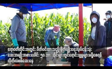 Embedded thumbnail for ဧရာဝတီတိုင်းအတွင်း ပိတ်ပင်ထားသည့် စိုက်ပျိုးရေးလုပ်ငန်းသုံး ဆေးအမျိုးအစားပေါင်း ၅၀ အား ဆိုင်များတွင် ရောင်းချမှုများ မရှိစေရန် လိုက်လံစစ်ဆေးနေ  