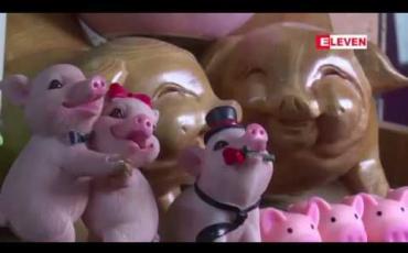 Embedded thumbnail for ထိုင်ဝမ်အမျိုးသမီးတစ်ဦးက ၎င်း၏တိုက်ခန်းထဲတွင် ဝက်လေးကောင်ကို အိမ်မွေးတိရစ္ဆာန်သဖွယ် တယုတယ မွေးမြူထား 