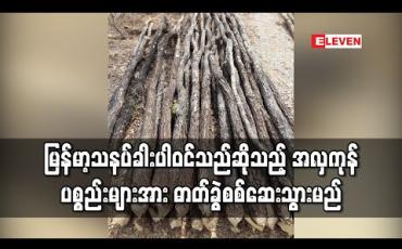 Embedded thumbnail for မြန်မာ့သနပ်ခါးပါဝင်သည်ဟုအမည်တပ်ကာ ပြည်တွင်းသို့တင်သွင်းလာသည့် အလှကုန်ပစ္စည်းများအား ဓာတ်ခွဲစမ်းသပ်စစ် ဆေးသွားမည်
