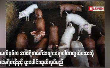 Embedded thumbnail for ဗီယက်နမ်က အာဖရိကဝက်အဖျားရောဂါကာကွယ်ဆေးကို အမေရိကန်နှင့် ပူးပေါင်းထုတ်လုပ်ကာ ပြည်ပသို့တင်ပို့မည်