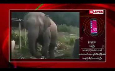 Embedded thumbnail for ဘုတ်ပြင်းမြို့နယ်အတွင်း ကျေးရွာတစ်ချို့တွင် တောဆင်ရိုင်းများကြောင့် လူသေဆုံးမှုများ ဖြစ်ပေါ်နေပြီး တိုင်းအစိုးရအဖွဲ့မှ ထိန်းသိမ်းဖြေရှင်းပေးရန် ဒေသခံများ တောင်းဆို