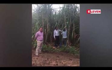 Embedded thumbnail for ယခုနှစ် ကြံခုတ်ရာသီတွင် မနှစ်ကထက် ကြံစျေးတစ်တန် ကျပ် ၅၀၀၀ ခန့် သကြားစက်ရုံများက စျေးလျှော့ဝယ်ယူ 