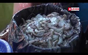 Embedded thumbnail for ဘင်္ဂလားဒေ့ရှ်နိုင်ငံ ရွေးကောက်ပွဲကာလအတွင်း ဆိပ်ကမ်းများ ပိတ်ထားသဖြင့်သုံးရက်ကြာ ကုန်သွယ်မှု ယာယီရပ်တန့်နေသည့် မောင်တောနယ်စပ်ပို့ကုန် တင််ပို့မှု ပြန်လည်စတင်