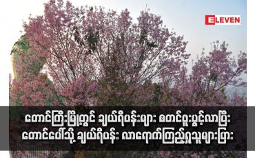 Embedded thumbnail for တောင်ကြီးမြို့တွင် ချယ်ရီပန်းများ စတင်ဖူးပွင့်လာပြီး တောင်ပေါ်သို့ ချယ်ရီပန်း လာရောက်ကြည့်ရှုသူ များပြား