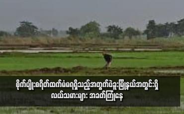 Embedded thumbnail for ယခုနှစ် မိုးစပါးစိုက်ပျိုးစရိတ်ချေးငွေ ပြန်မဆပ်နိုင်သဖြင့် စိုက်ပျိုးစရိတ် ထပ်မံ မရရှိသည့်အတွက် ပဲခူးမြို့နယ်အတွင်းရှိ လယ်သမားများ အခက်ကြုံနေ