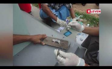 Embedded thumbnail for စစ်ကိုင်းတိုင်းဒေသကြီး မုံရွာခရိုင် ဘုတလင်မြို့နယ်မှာ ကြွက်ကောင်ရေ ၅ဝဝထက်မနည်း အစုလိုက်အပြုံလိုက် သေဆုံး