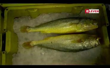 Embedded thumbnail for ကိုရိုနာဗိုင်းရပ်စ်တွေ့မှုကြောင့် ရုရှားပင်လယ်စာအချို့တင်သွင်းမှုကို တရုတ်ကတစ်လရပ်ဆိုင်း 