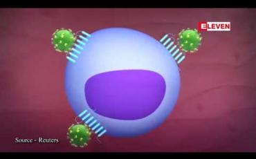 Embedded thumbnail for လန်ဒန်ရှိ HIV ရောဂါရှိအမျိုးသားလူနာတစ်ဦးကို အလှူရှင်တစ်ဦးထံမှ ရိုးတွင်းခြင်ဆီဖြင့် အစားထိုး ကုသပြီး နောက် ရောဂါပိုးကင်းရှင်းသွားခဲ့