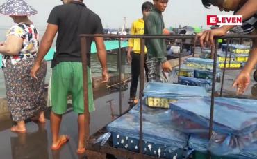 Embedded thumbnail for ကင်းမွန်ရာသီပိတ်သိမ်းပြီဖြစ်ပြီး နောက်ဆုံးလတွင် ကင်းမွန်မီးထွန်းလှေများ အနည်းငယ်အဆင်ပြေခဲ့ဟုဆို