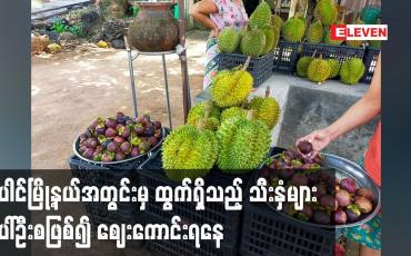 Embedded thumbnail for ပေါင်မြို့နယ်အတွင်းမှ ထွက်ရှိသည့် သီးနှံများ ပေါ်ဦးစဖြစ်၍ ဈေးကောင်းရနေ