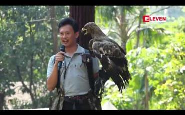 Embedded thumbnail for တိရစ္ဆာန်ဥယျာဉ် (ရန်ကုန်) ၏ ၁၁၃နှစ်ပြည့် အထိမ်းအမှတ်ပွဲတော် ရန်ကုန်မြို့တွင် သုံးရက်တိုင်တိုင် ကျင်းပခဲ့ (ရုပ်သံ)