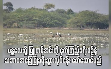 Embedded thumbnail for မန္တလေးတိုင်းရှိ ပြူကန်အင်းအား ငှက်ကြည့်ခရီးစဉ်နှင့် သဘာဝအခြေပြုခရီးသွားလုပ်ငန်းဖော်ဆောင်ရန် စီစဉ်
