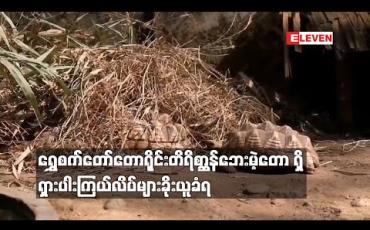 Embedded thumbnail for ရွှေစက်တော်တောရိုင်းတိရိစ္ဆာန်ဘေးမဲ့တော ရှိ ရှားပါးကြယ်လိပ်များခိုးယူခံခဲ့ရ