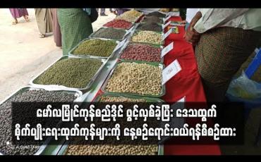 Embedded thumbnail for မော်လမြိုင်ကုန်စည်ဒိုင် စတင်ဖွင့်လှစ်ခဲ့ပြီး ဒေသထွက် စိုက်ပျိုးရေးထုတ်ကုန်များကို နေ့စဉ်အရောင်းအဝယ်ပြုလုပ်ရန် စီစဉ်ထား 