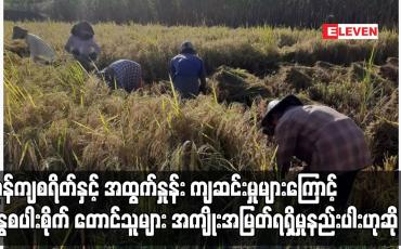 Embedded thumbnail for နွေစပါးအများစုပေါ်ချိန် ဆန်စပါးဈေးနှုန်း ထပ်မံမြင့်တက်ကာ ဈေးကောင်းလျှက်ရှိနေပြီး ကုန်ကျစရိတ်နှင့် အထွက်နှုန်း ကျဆင်းမှုများကြောင့် နွေစပါးစိုက် တောင်သူများ အကျိုးအမြတ်ရရှိမှုနည်းပါးဟုဆို 