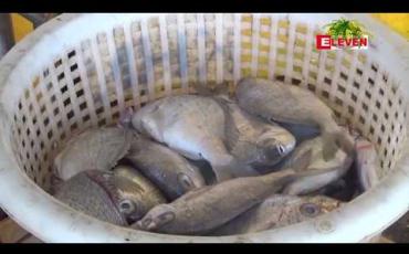 Embedded thumbnail for ၂၀၁၉ ခုနှစ် မတ်လကုန်အထိ တစ်နှစ်တာ ရေထွက်ပစ္စည်းတင်ပို့မှု စံချိန်တင်ခဲ့ပြီး ယခင်နှစ် ဝင်ငွေ ထက် အမေရိကန်ဒေါ်လာရှစ်သန်းကျော်မြင့်တက်ခဲ့ 