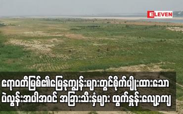 Embedded thumbnail for ဧရာဝတီမြစ်၏မြေနုကျွန်းများတွင်စိုက်ပျိုးထားသော ပဲလွန်းအပါအဝင် အခြားသီးနှံများ ထွက်နှုန်းလျော့ကျ