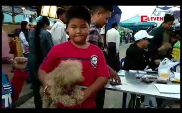 Embedded thumbnail for မန္တလေးမြို့တွင် ခွေးချစ်သူများတွေ့ဆုံပွဲနှင့် အိမ်မွေးတိရစ္ဆာန်ပြပွဲ၊ ပြိုင်ပွဲပြုလုပ် 