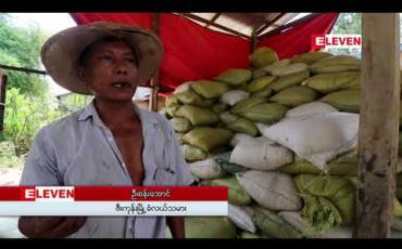 Embedded thumbnail for စပါးစျေးကျဆင်းနေမှုက မြန်မာ့လယ်သမားများဘဝကို ပိုမိုကျပ်တည်းစေပြီလား