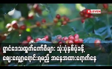 Embedded thumbnail for vရွာငံဒေသထွက်ကမ္ဘာ့တန်းဝင် ကော်ဖီများကို ပြည်ပ တင်ပို့ခွင့်မရသဖြင့် သုံးပုံနှစ်ပုံ ခန့် ဈေးလျော့ ရောင်းချရမည့် အနေအထား ရောက်နေ