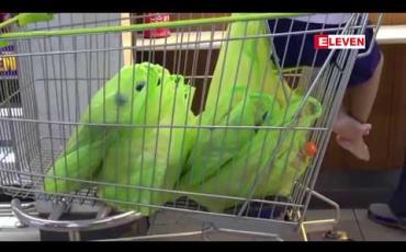 Embedded thumbnail for ထိုင်းနိုင်ငံတွင် တစ်ခါသုံးပလတ်စတစ်အိတ်များအတွက် ကျသင့် ငွေ ကောက်ခံသွားမည်