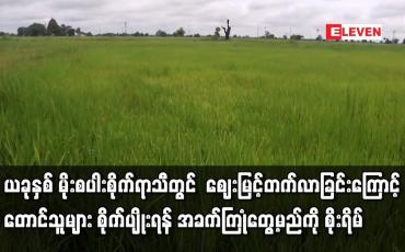 Embedded thumbnail for ယခုနှစ် စပါးစိုက်ရာသီတွင် ဈေးနှုန်းမြင့်လာခြင်းကြောင့် တောင်သူများ အခက်ကြုံမည်ကို စိုးရိမ်