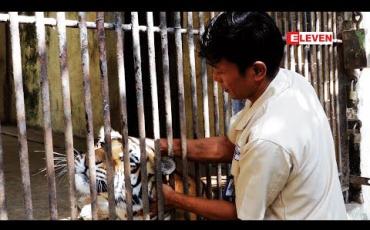 Embedded thumbnail for Secret Life (ရုပ်သံအစီအစဉ်)