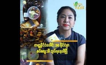 Embedded thumbnail for အနုပညာရှင် တွေ ကြား မှာ အကြိုက်များတဲ့ စပ်စလူးခါသုပ်