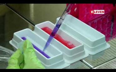 Embedded thumbnail for ရုရှားသမ္မတပူတင်ကကုလအထွေထွေညီလာခံတွင် ရုရှားထုတ် ကိုရိုနာဗိုင်းရပ်ကာကွယ်ဆေးအကြောင်းအမွှန်းတင်ပြောကြား 