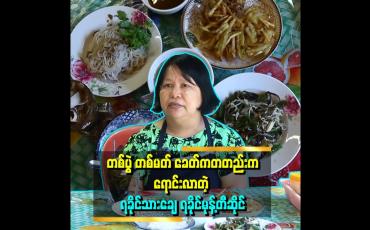 Embedded thumbnail for ဆုံးသွားတဲ့ခင်ပွန်း ကိုလှရွှေကို ရခိုင်မုန့်တီရောင်းရင်း အမြဲသတိရနေတယ်။ ခင်ပွန်း ဆုံးတာ နှစ်ပေါင်း ၁၇ နီးပါးရှိပြီ။ သူစပြီး လုပ်ပေးခဲ့တဲ့ ရခိုင်သားချေ ရခိုင်မုန့်တီဆိုင် ပါဆိုတဲ့ ဒေါ်နု