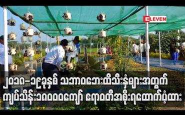 Embedded thumbnail for သဘာဝဘေးကြောင့် ပျက်စီးလယ်ယာသီးနှံများအတွက် ကျပ်သိန်း ၁၈၀၀၀ ကျော် ထောက်ပံ့ပေးထား