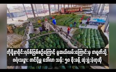 Embedded thumbnail for ကိုရိုနာဗိုင်းရပ်စ်ဖြစ်စဉ်ကြောင့် ရက်ပေါင်း ၂၀ ကျော်ကာလအတွင်း မူဆယ်လမ်းကြောင်းမှ တရုတ်သို့ ဖရဲ၊သခွား တင်ပို့မှု အမေရိကန်ဒေါ်လာ သန်း ၅၀ ဖိုးခန့် ဆုံးရှုံးခဲ့ဟုဆို