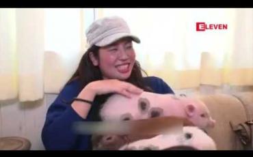 Embedded thumbnail for ဝက်ချစ်သူများအတွက် Pig Café ဆိုင်ကို တိုကျိုမြို့တွင် ပထမဆုံးဖွင့်လှစ်