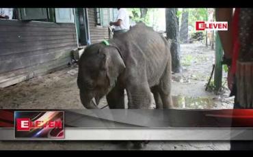 Embedded thumbnail for ဧရာဝတီတိုင်းအတွင်း အရေးပေါ်ကွန်ဂျီဆင်စခန်း ငါးခုအထိ ဖွင့်လှစ် ဆောင်ရွက်နေ