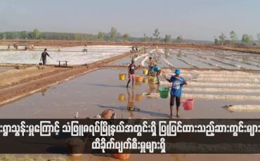 Embedded thumbnail for မိုးရွာသွန်းမှုကြောင့် သံဖြူဇရပ်မြို့နယ်အတွင်းရှိ ပြုပြင်ထားသည့်ဆားကွင်းများ ထိခိုက်ပျက်စီးမှုများရှိ
