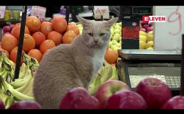 Embedded thumbnail for ကိုရိုနာဗိုင်းရပ်စ် ကူးစက်နှုန်း မြင့်တက်လာပြီးနောက် အစ္စရေးတစ်နိုင်ငံလုံးကို တတိယအကြိမ် lockdown ချမည်